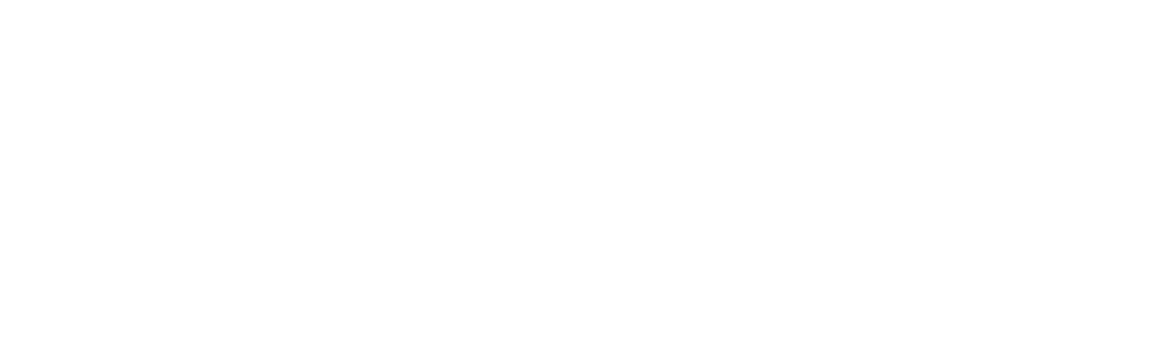Miyamoto México